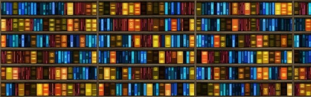 DIA LIBRO